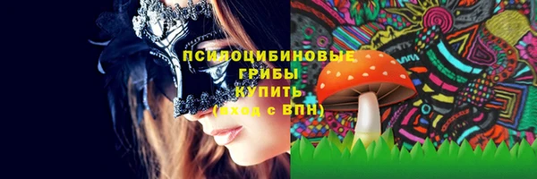 твердый Кинешма