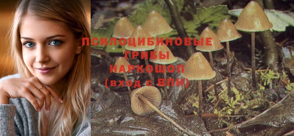 ешки Костерёво