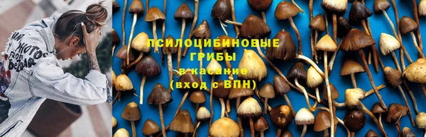 меф Корсаков